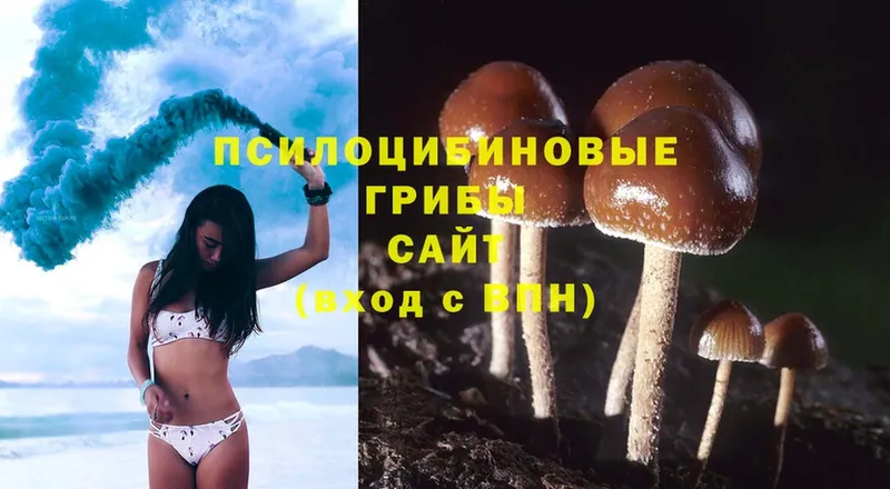 Псилоцибиновые грибы MAGIC MUSHROOMS  Верхнеуральск 